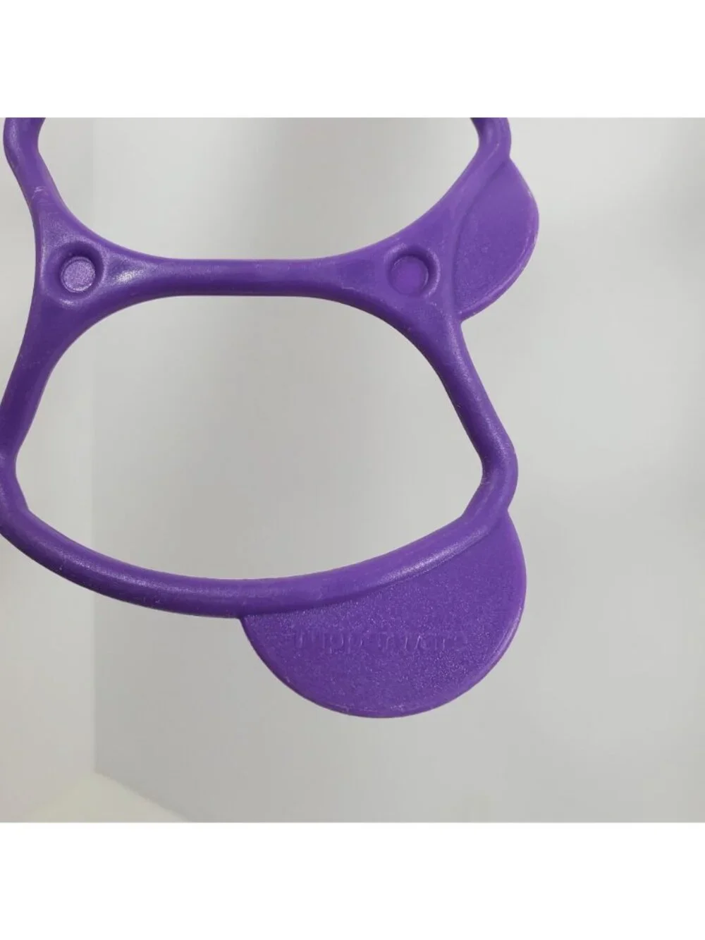 Tupperware replacement purple